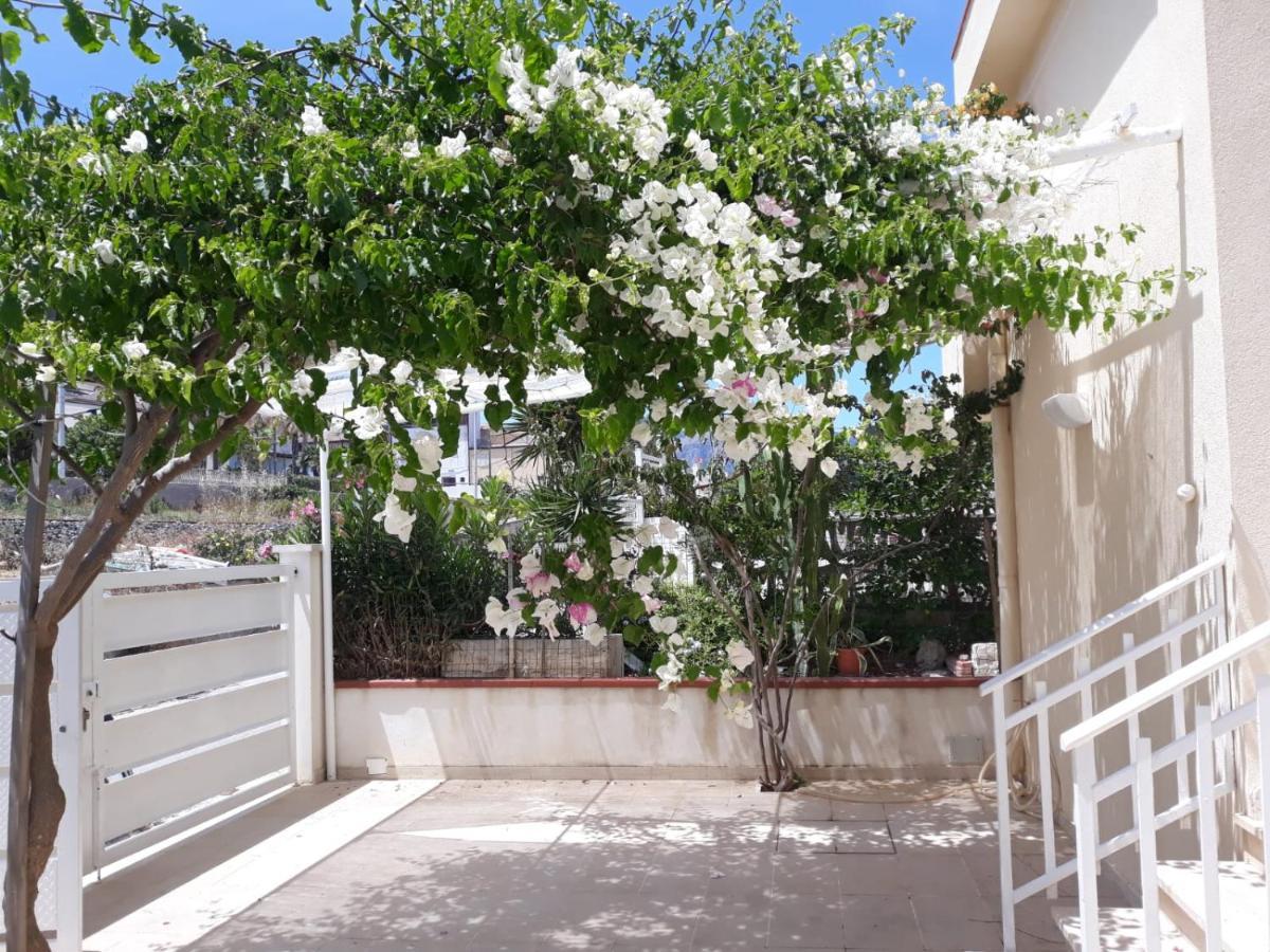 Castellammare Holiday 알카모 마리나 외부 사진